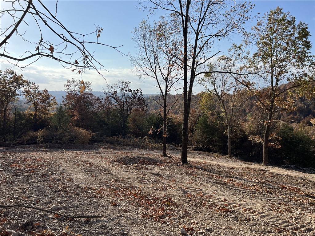 Omaha, AR 72662,21.73 AC Jackson Ridge