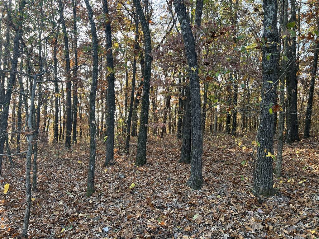 Omaha, AR 72662,37.64 AC Dubuque Rd