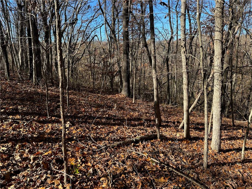 Rogers, AR 72756,Clover Ln
