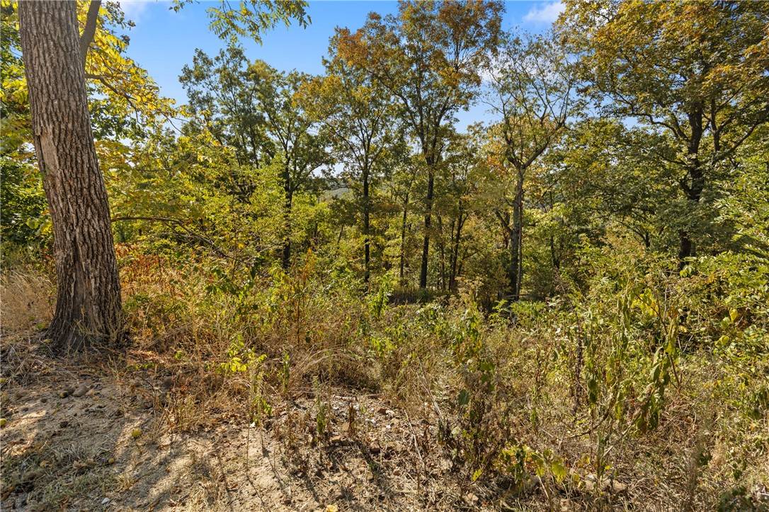 Harrison, AR 72601,Lot 26 Peaceful Pl