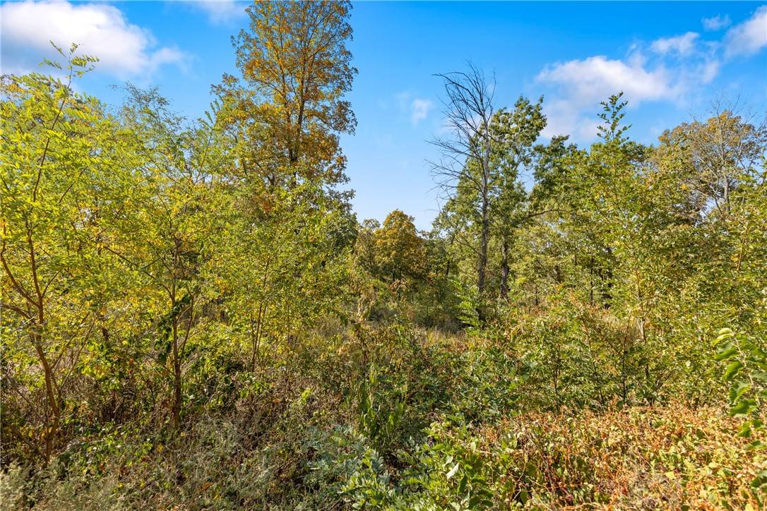Harrison, AR 72601,Lot 29 Peaceful Pl