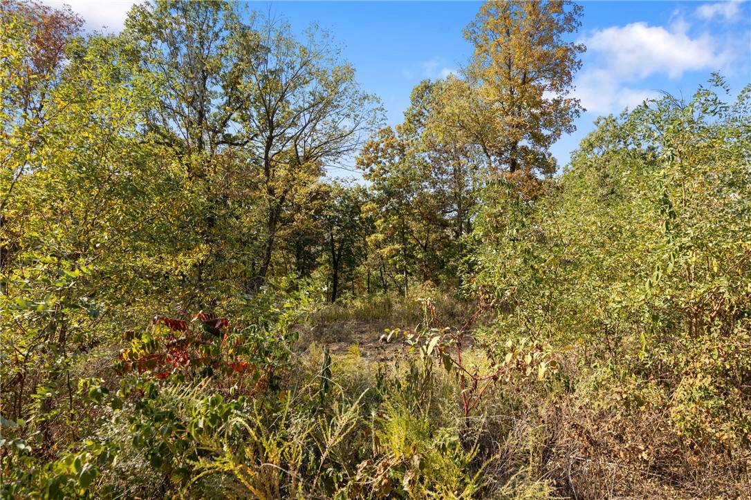 Harrison, AR 72601,Lot 29 Peaceful Pl