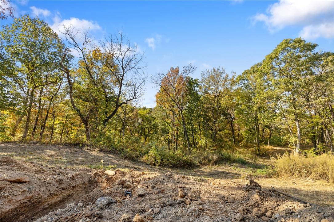 Harrison, AR 72601,Lot 34 Peaceful Pl