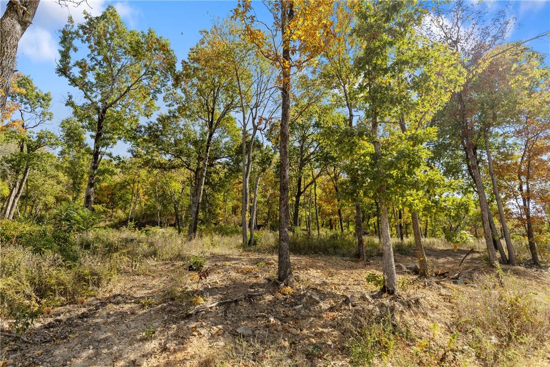 Harrison, AR 72601,Lot 53 Restore Ridge