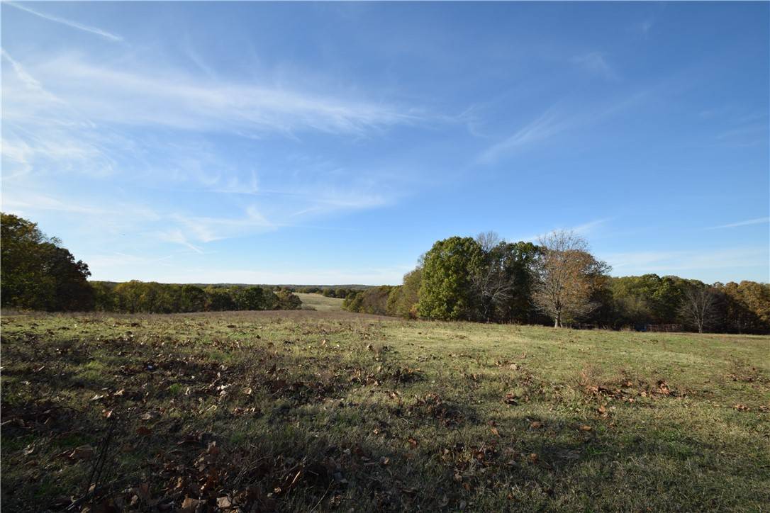 Pineville, MO 64856,11015 E State Hwy 90