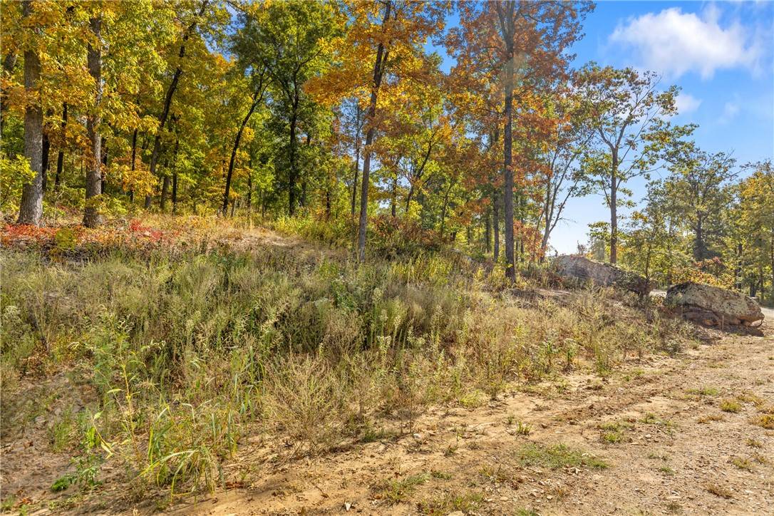 Harrison, AR 72601,Lot 58 Restore Ridge