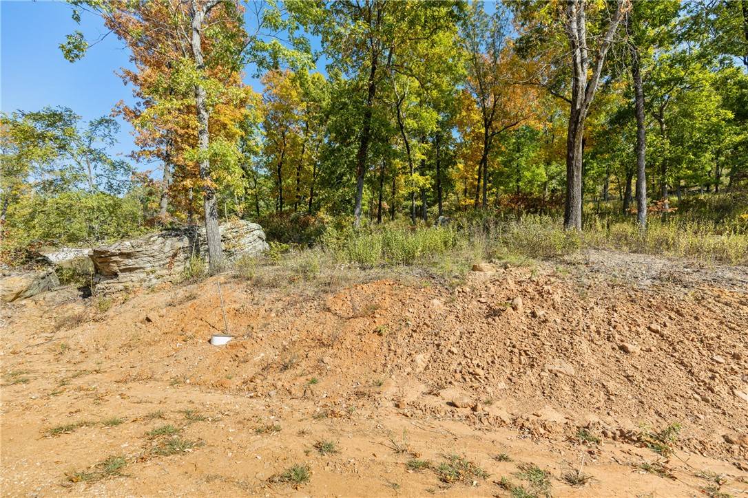 Harrison, AR 72601,Lot 59 Restore Ridge