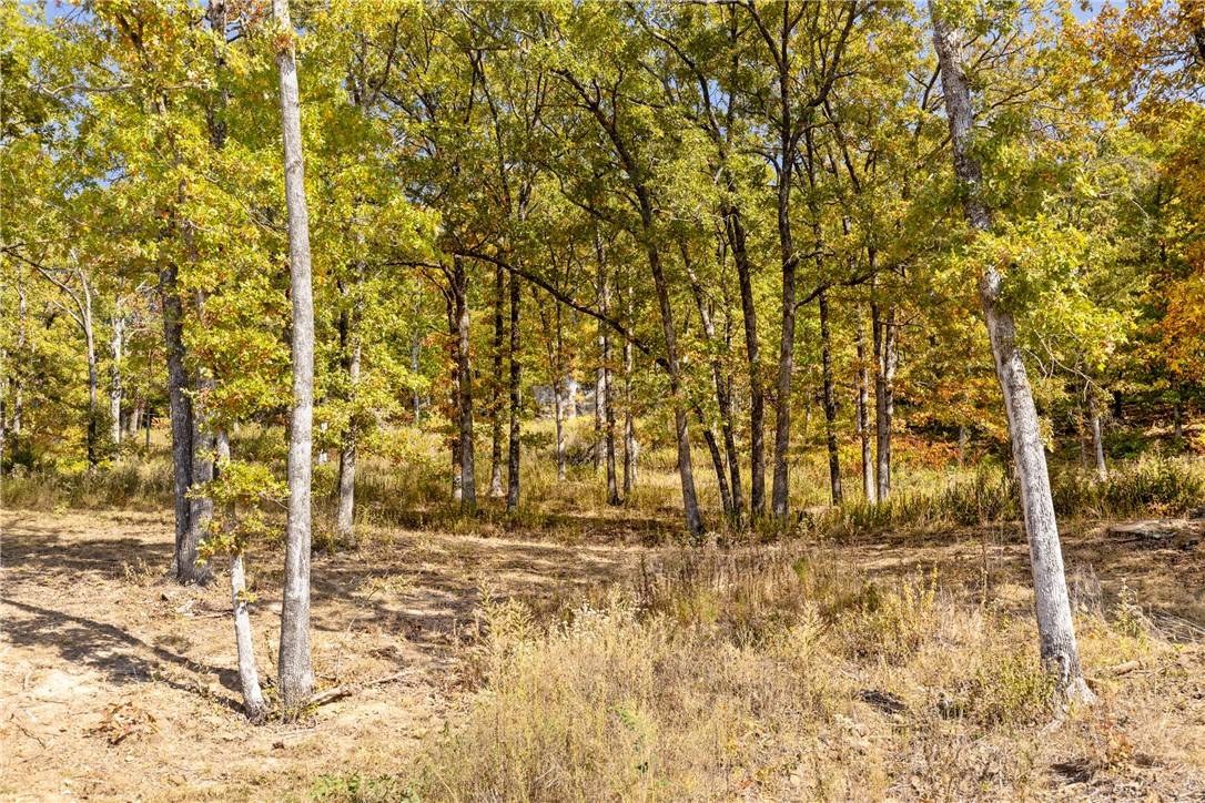 Harrison, AR 72601,Lot 63 Restore Ridge