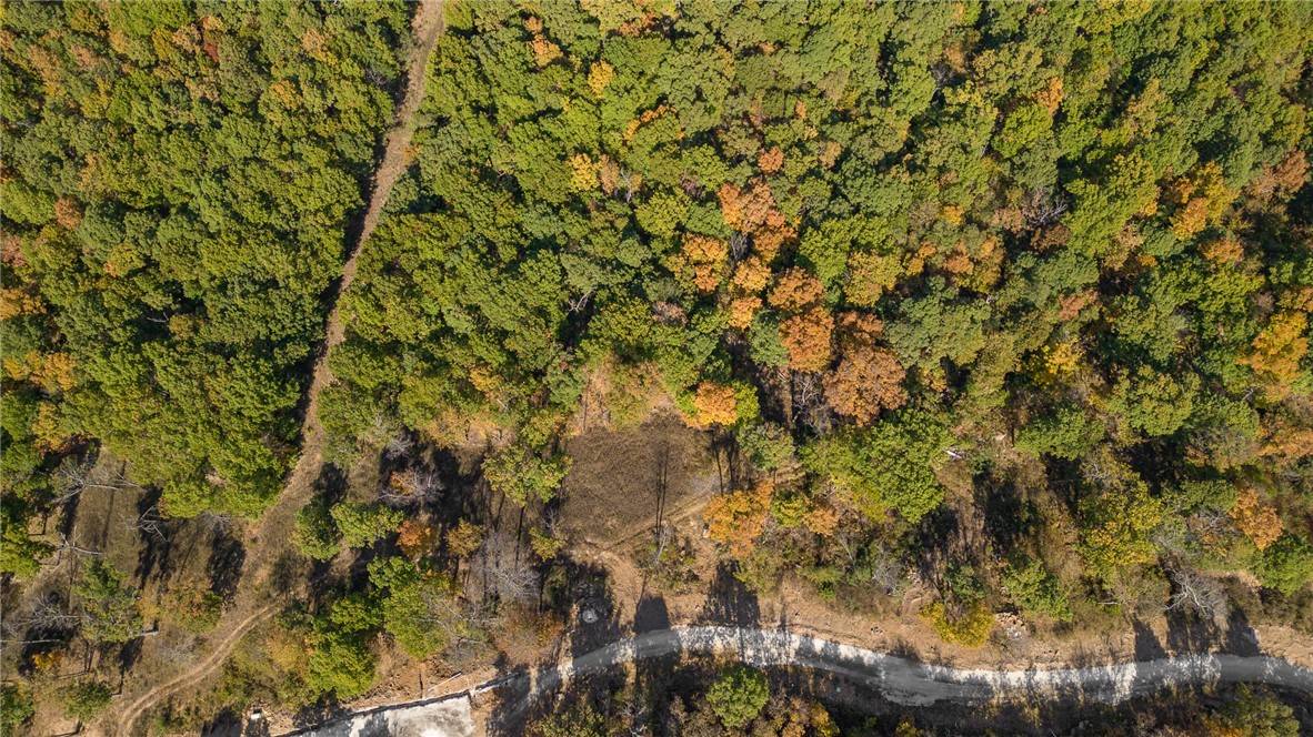 Harrison, AR 72601,Lot 90 Restore Cir