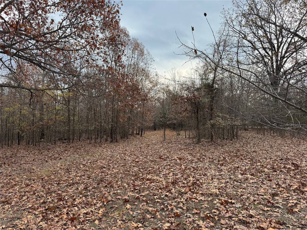 Fayetteville, AR 72704,WC1127 Primrose Ln