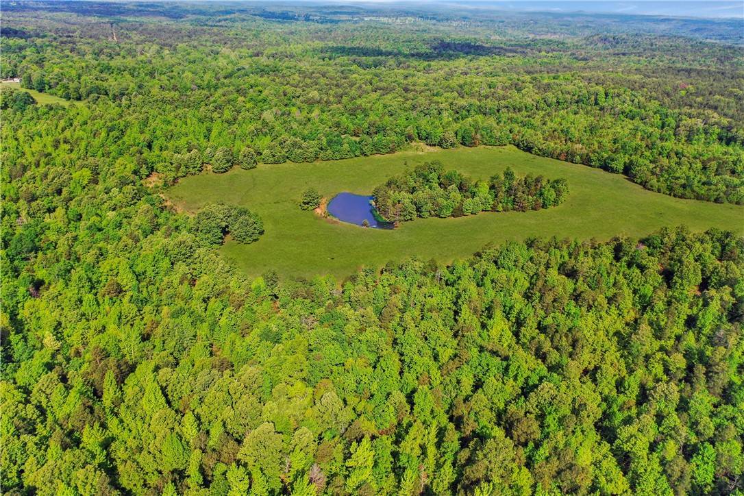 Pineville, AR 72566,000 Frosty Knapp Rd