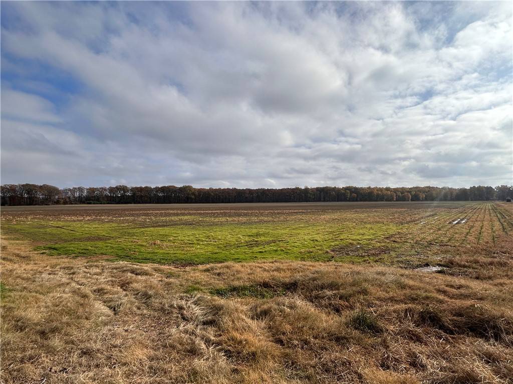 AR 72160,Dog Island Rd