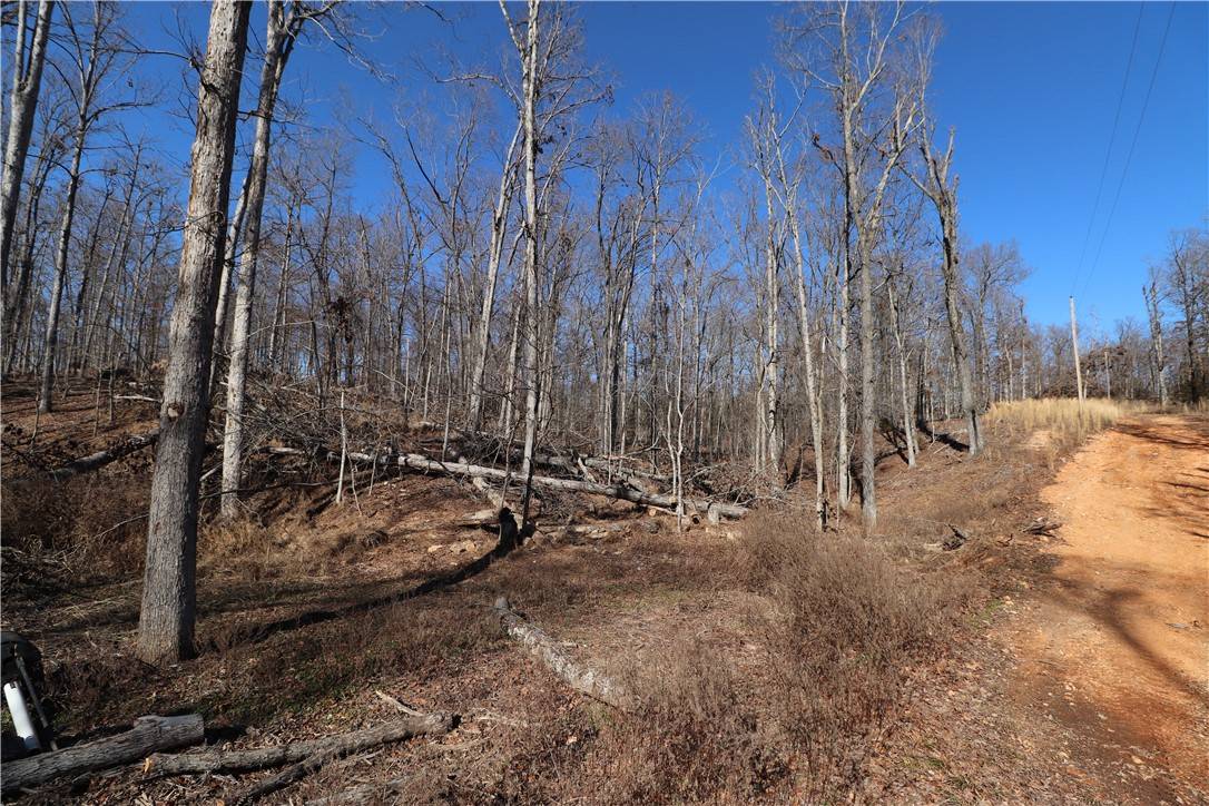 Rogers, AR 72758,Blue Hill Dr