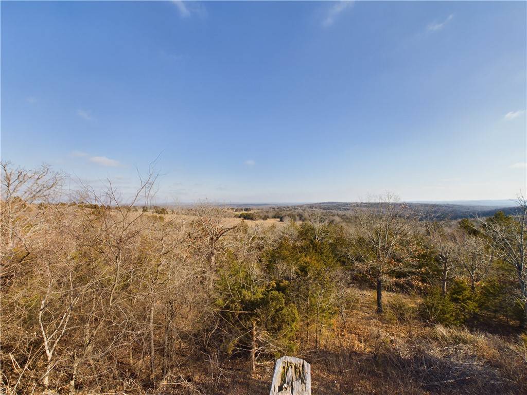 Omaha, AR 72662,21771 Stonington Rd
