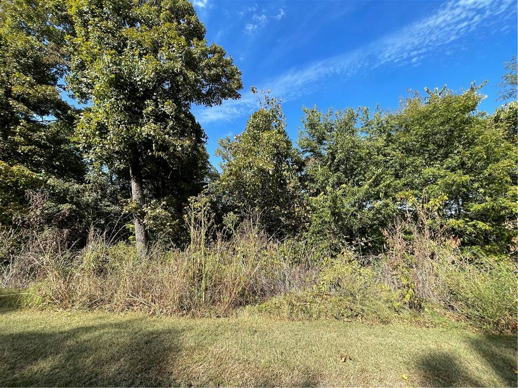 Holiday Island, AR 72631,238 Holiday Island Dr