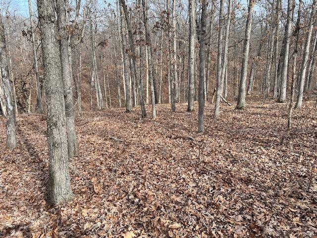 Bella Vista, AR 72714,Lot 15 Block 2 Deal Ln