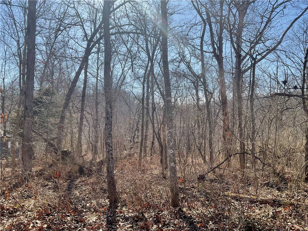 Bella Vista, AR 72715,TBD Ettrick Ln