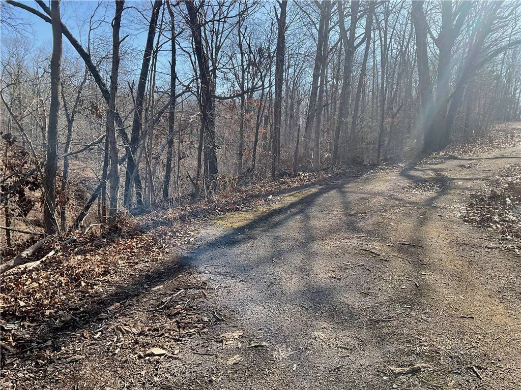 Bella Vista, AR 72715,TBD Ettrick Ln