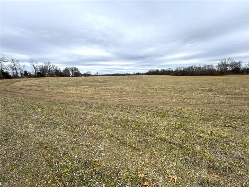 Ozark, MO 65721,000 State Highway EE (9.5 acres)