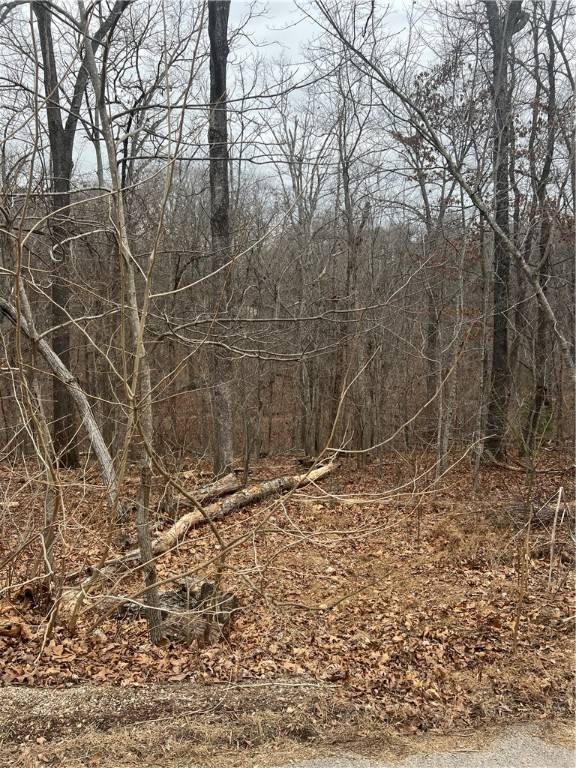 Bella Vista, AR 72715,Gillingham Dr
