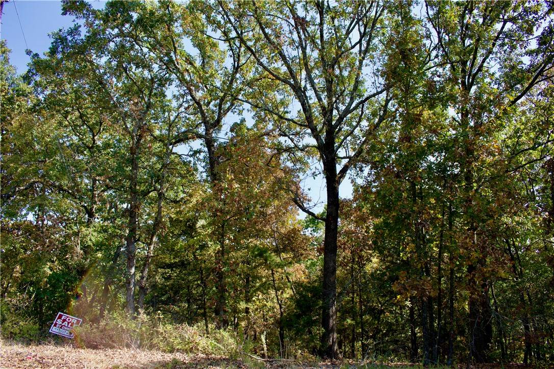 Eureka Springs, AR 72631,S Hills Loop