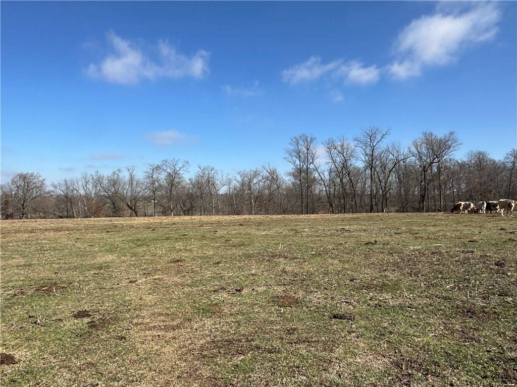 Fayetteville, AR 72704,Development Property -Strawberry Plant Rd