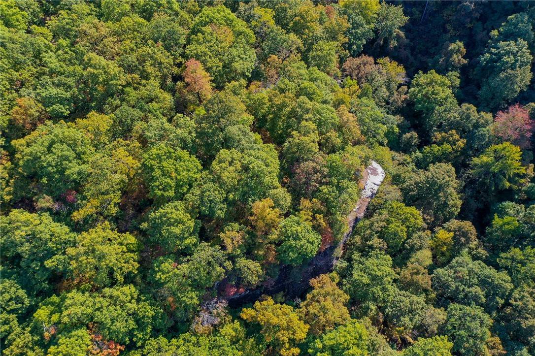 Jasper, AR 72641,8374 Newton County
