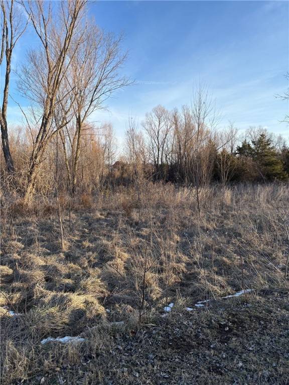 Green Forest, AR 72638,TBD Lot 6 Redbud St