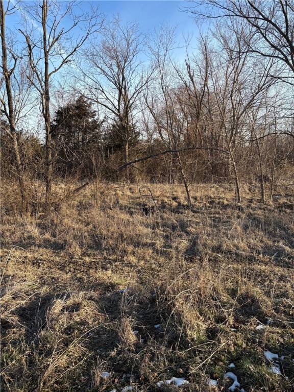 Green Forest, AR 72638,TBD Lot 6 Redbud St