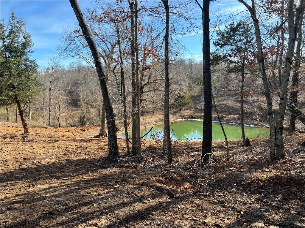 Winslow, AR 72959,TBD 20 acres Hughes Rd