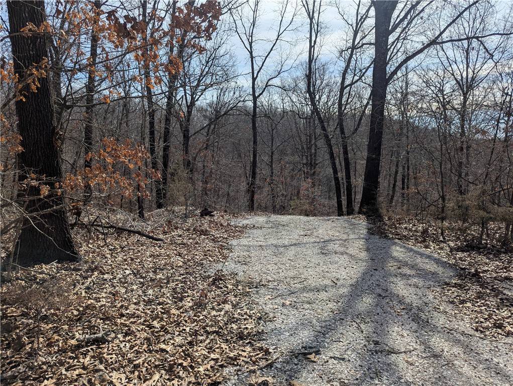 Garfield, AR 72732,Bill Billings Rd