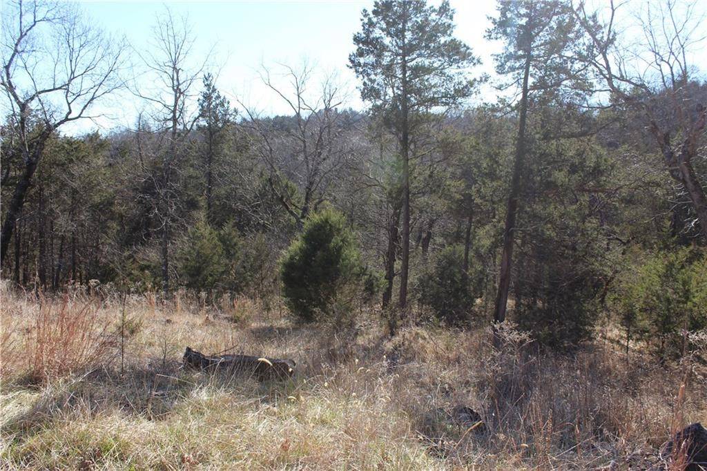 Holiday Island, AR 72631,15 Deer Run Dr #115
