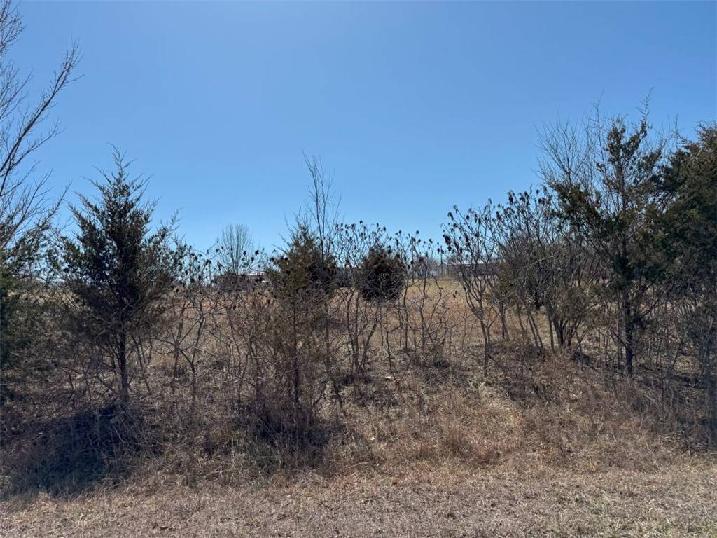 Seligman, MO 65745,TBD Lot 59 Blockade N