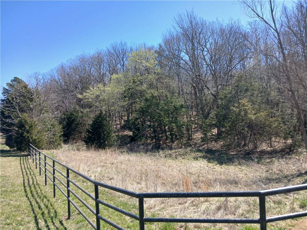 Huntsville, AR 72740,217 Madison 2149-  Lot 1&2
