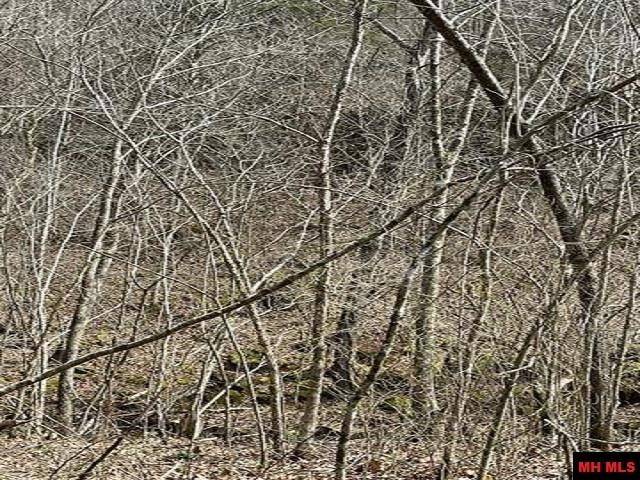 Yellville, AR 72687,Jimmy Creek Trl