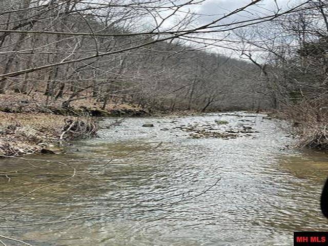 Yellville, AR 72687,Jimmy Creek Trl