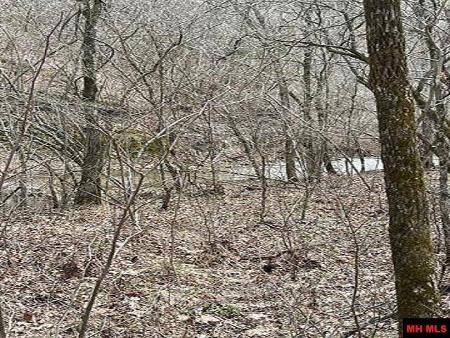 Yellville, AR 72687,Jimmy Creek Trl
