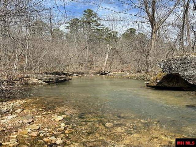 Yellville, AR 72687,Jimmy Creek Trl