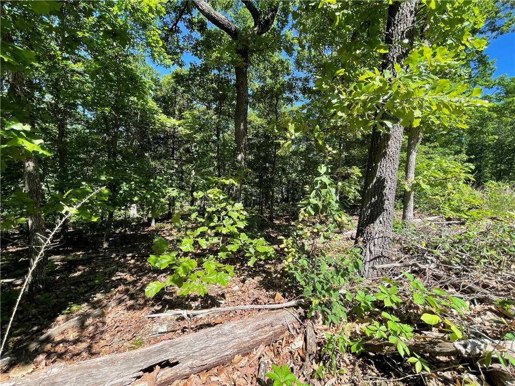 Bella Vista, AR 72714,Horncastle Dr