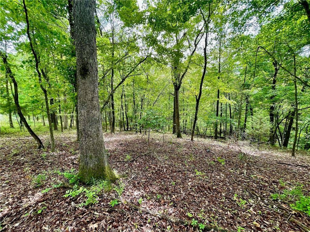 Fayetteville, AR 72704,4985 Prestwick South Cir