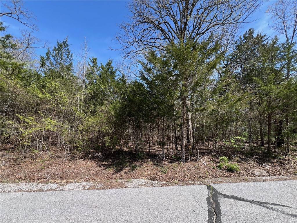 Diamond City, AR 72644,TBD Larchwood Dr