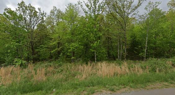 Bella Vista, AR 72715,Tarbolten Ln
