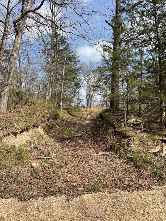 Seligman, MO 65745,5855 White Oak Rd