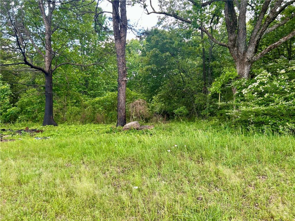 Dover, AR 72837,3983 buck Mountain