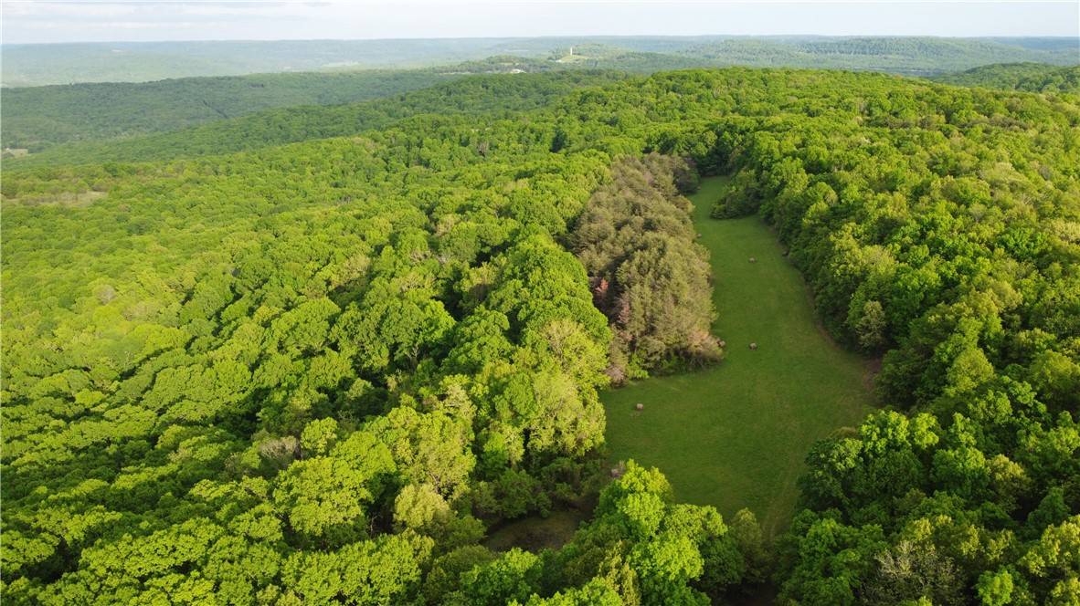 West Fork, AR 72774,163 Acres Low Gap Rd