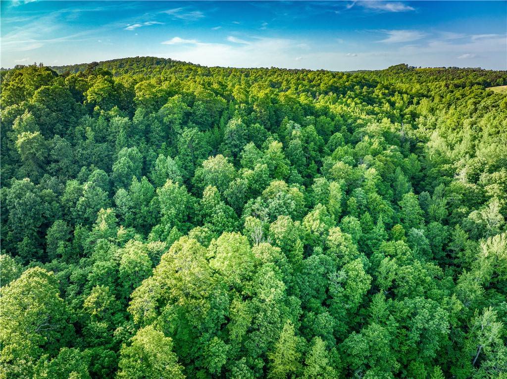 Witts Springs, AR 72686,TBD...