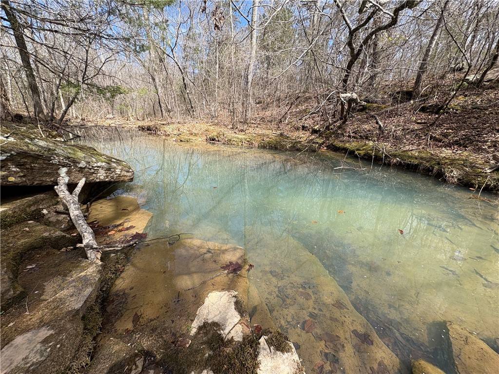 Clinton, AR 72031,Holly Mountain Rd