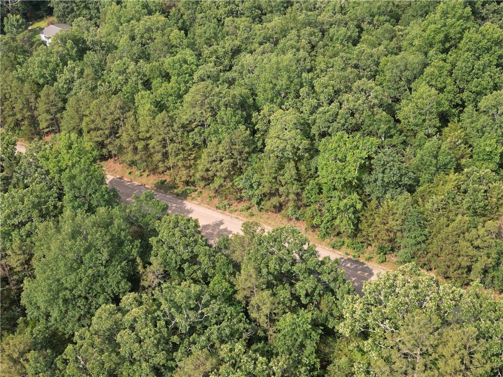 Dover, AR 72837,Lot 19 Sunny Springs Dr