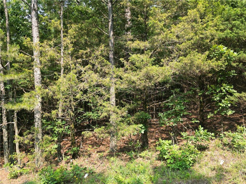 Dover, AR 72837,Lot 19 Sunny Springs Dr