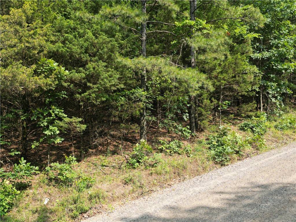 Dover, AR 72837,Lot 19 Sunny Springs Dr
